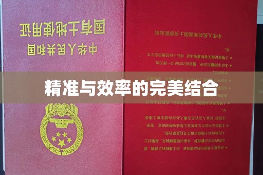 绥江精准与效率的完美结合